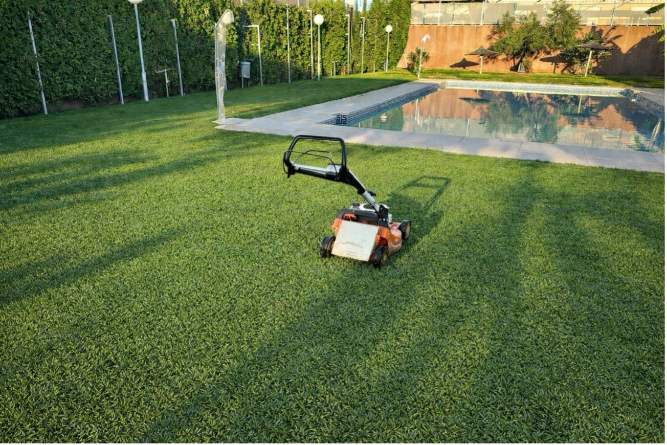 Jardín comunitario junto a piscina con césped recién mantenido